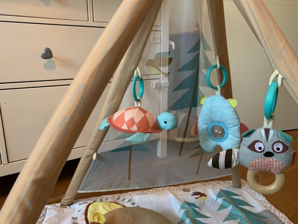 Skip Hop Camping Cubs Activity Gym – Krabbeldecke (Bild 4)