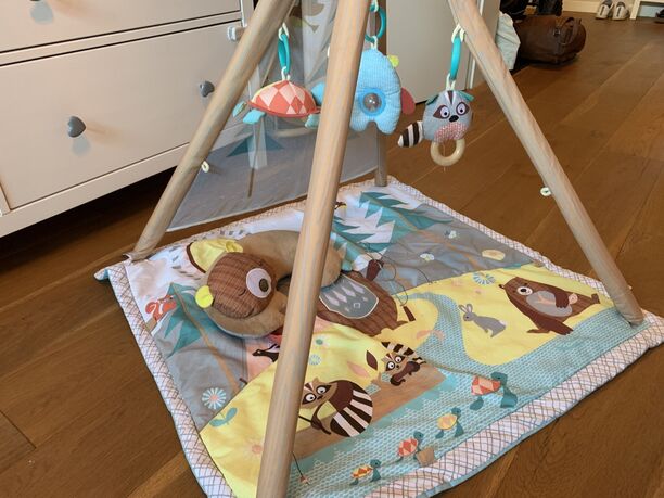Skip Hop Camping Cubs Activity Gym – Krabbeldecke (Bild 3)